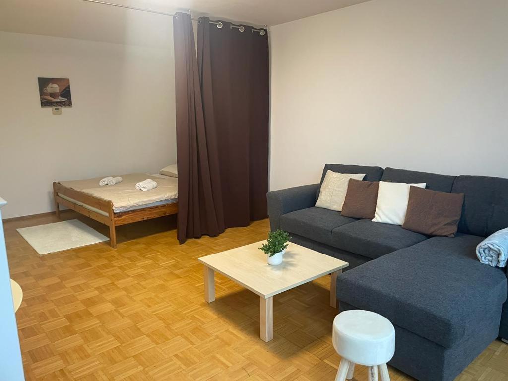 House Marin II - Apartment ماريبور المظهر الخارجي الصورة